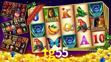 Flash Promotion tg55